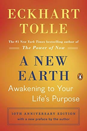Picture of book cover